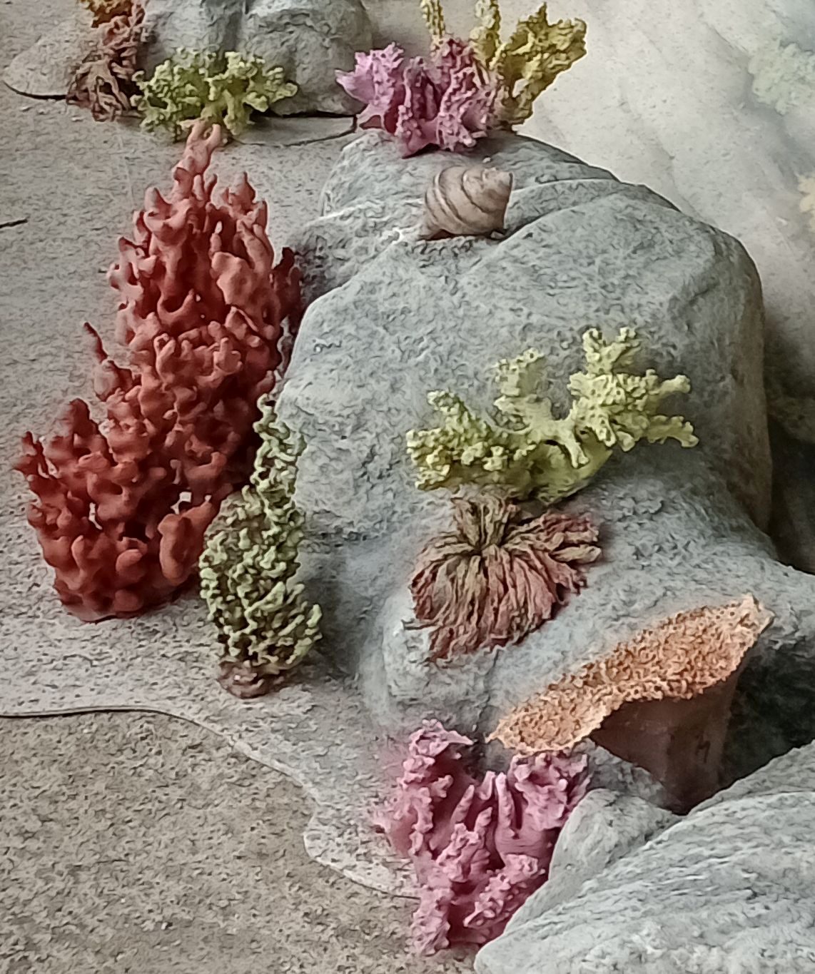 Diorama Unterwasserlandschaft mit Korallen
