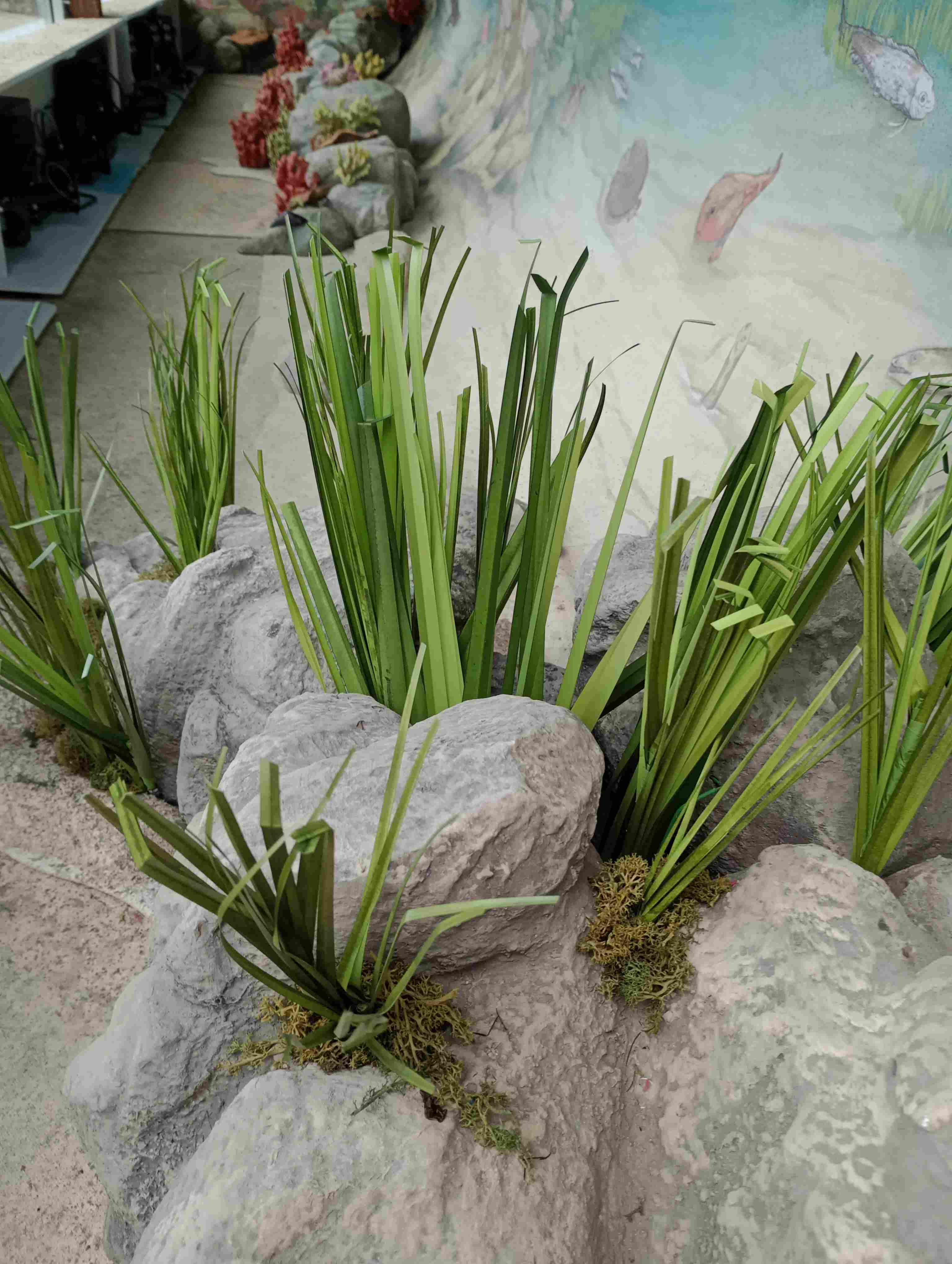 Diorama, modellierte Steine und Pflanzen